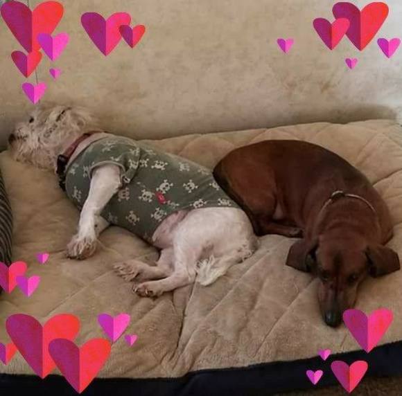 Meet your Posher, Scott - Picture 1 of 1